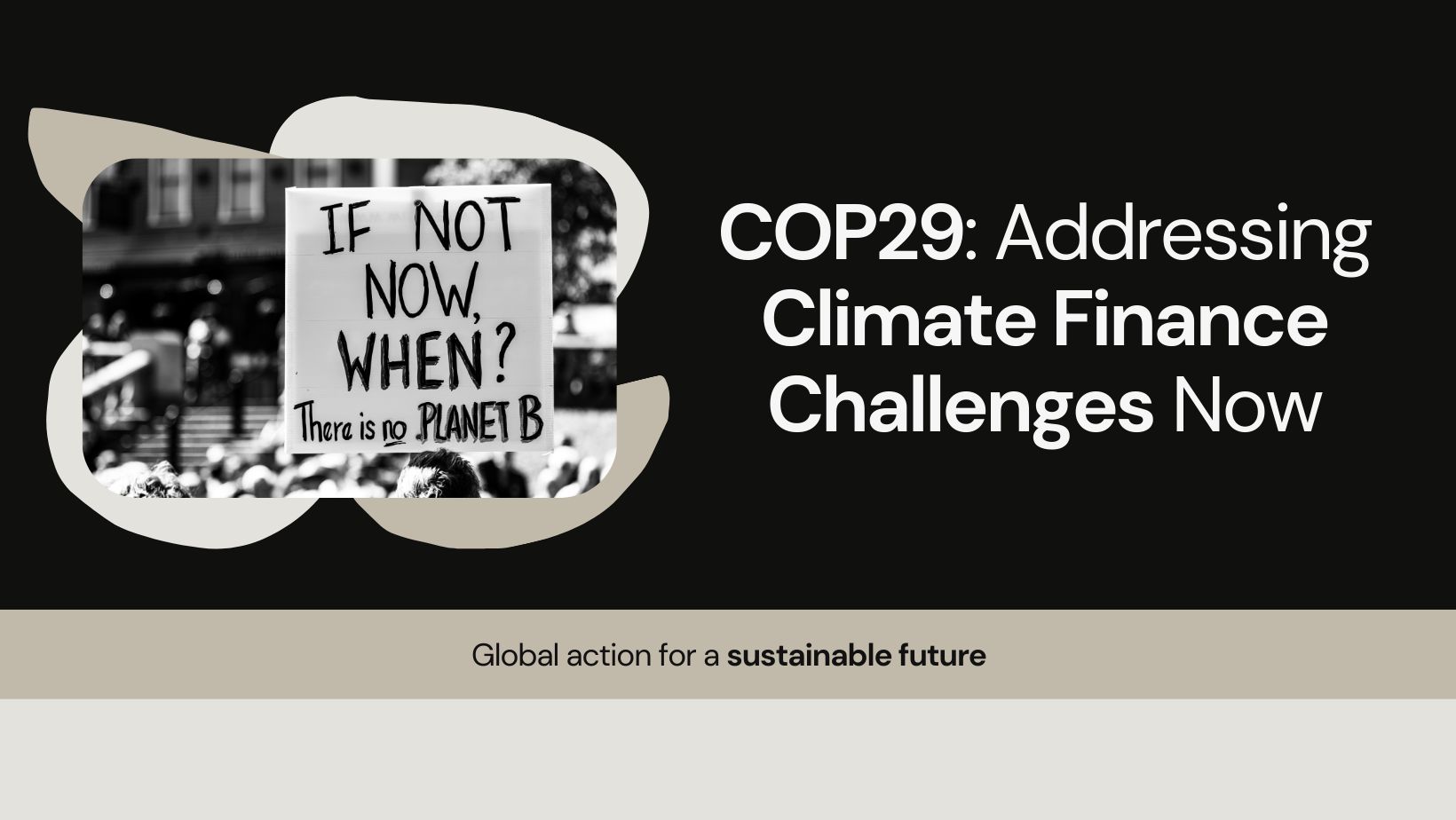 COP29 and the Global Climate Finance Debate – "Connecting communities ...